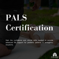 PALS Pediatric Skills Intensive